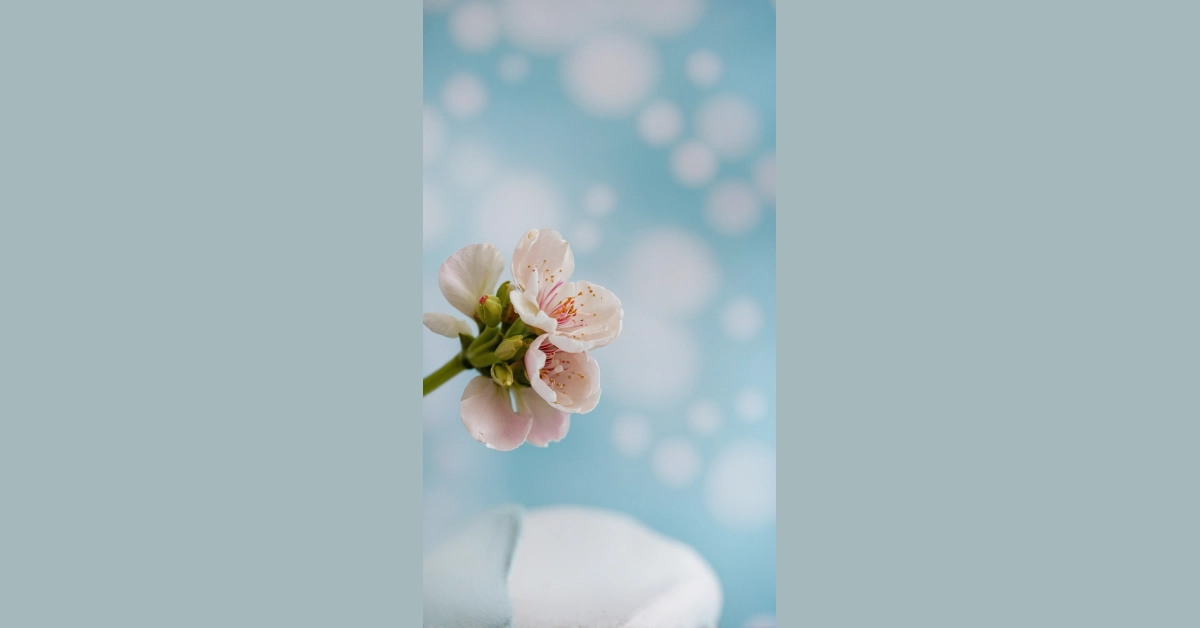 08 Cute Wallpaper Ideas to Revamp Your Digital Space
